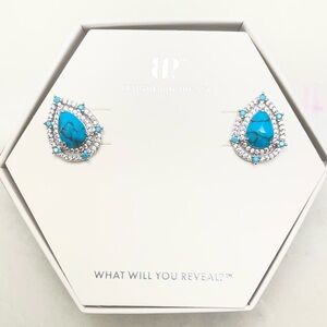 BP DECEMBER EARRINGS 2025